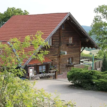Apart-Hotel Kastanienhof 3* Dannenfels