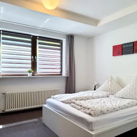 Apart-Hotel Kastanienhof アパートホテル Dannenfels