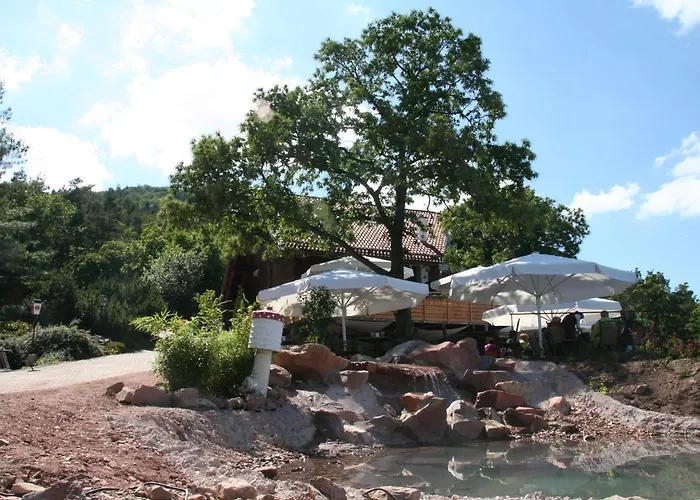 Aparthotel Kastanienhof 3*