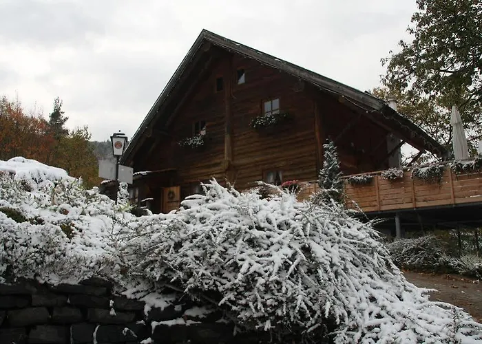 מלון דירות Kastanienhof Dannenfels